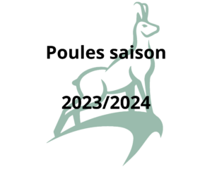 Poules saison 2023/2024