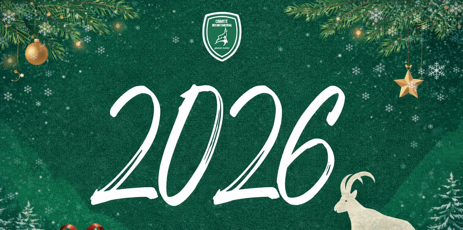 Illustration de Les vœux du Président