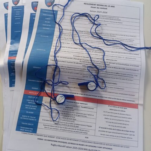 Illustration de Journée arbitrage pour les éducateurs du CD