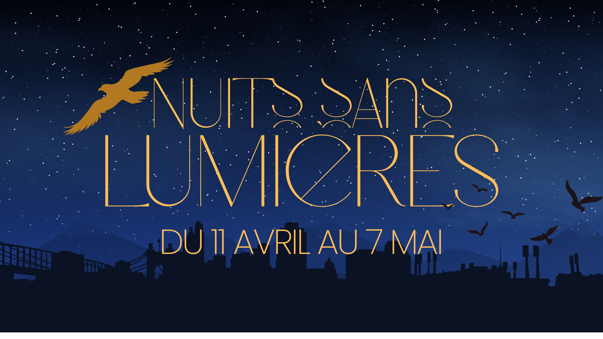 Illustration de Nuits sans Lumière 2025 : Mobilisons-nous pour la protection des Pétrels de Barau !
