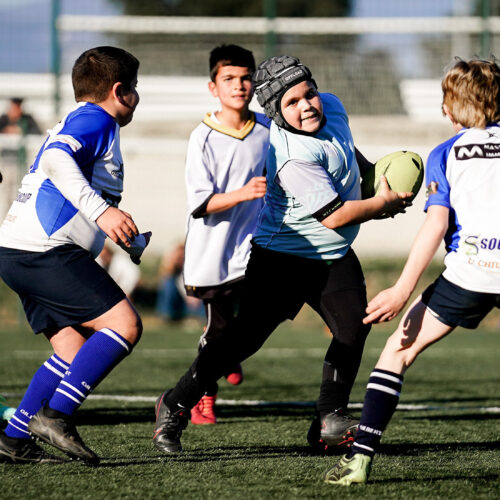 Illustration de Gratuité des licences : La relance du rugby par la base