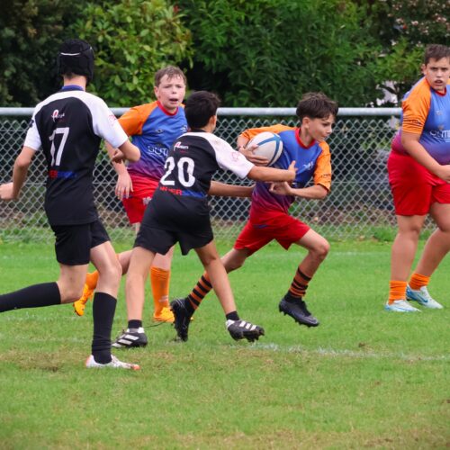 Illustration de Programme du week-end du 01 et 02 Novembre 2025